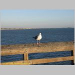 20060827_26Ventura_004 copia.jpg